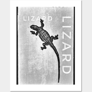 Grey slate lizard Posters and Art